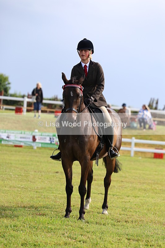 3E7A8283 - Class 2: Rising Star Large Hack/Riding Horse