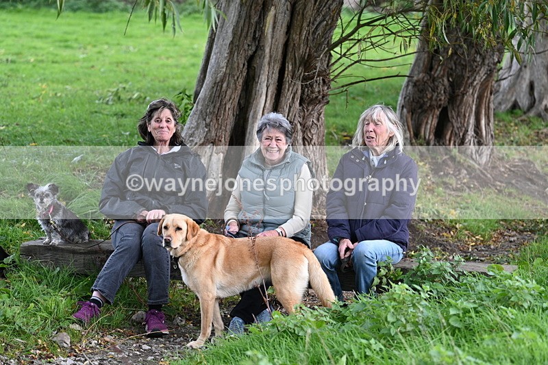 WJ7_1124 - Time 14:27 to 15:11