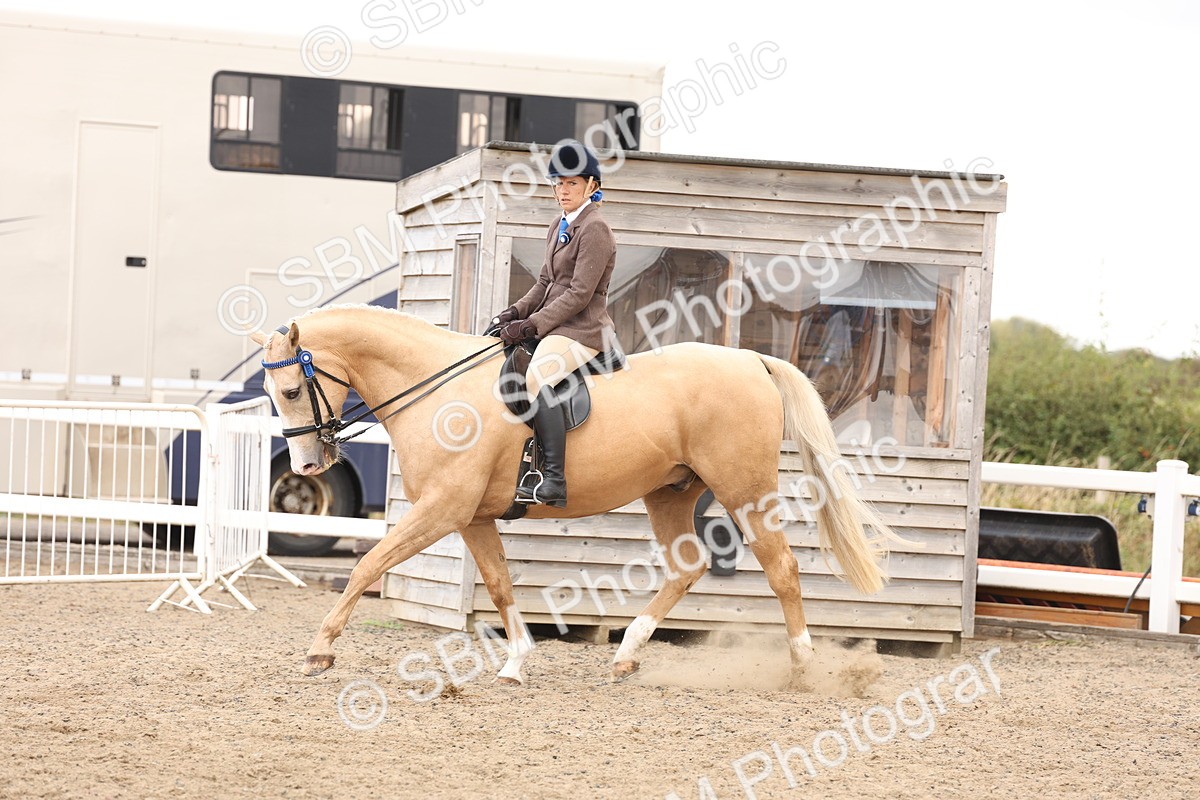 SBM_04208 - Class 54 - Riding Club Horse/Pony