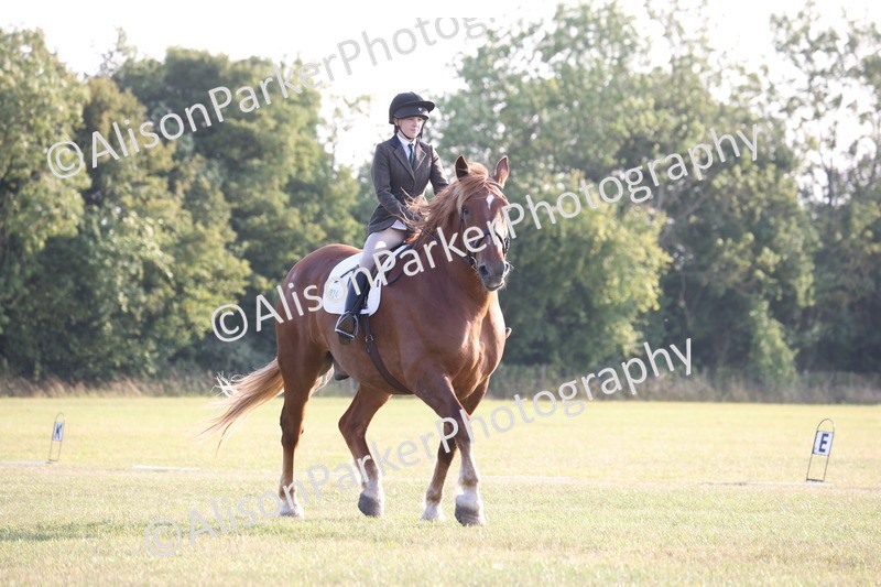 20250731-0780 - Class 1 - Intro 4