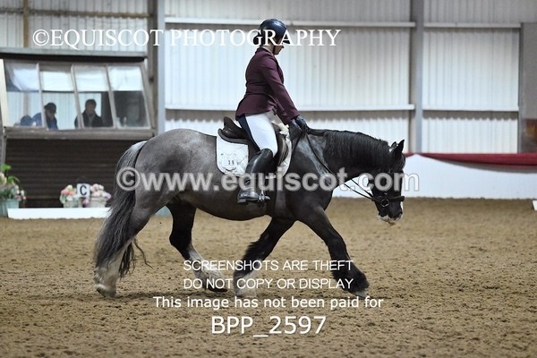 BPP_2597 - MFS PRELIM