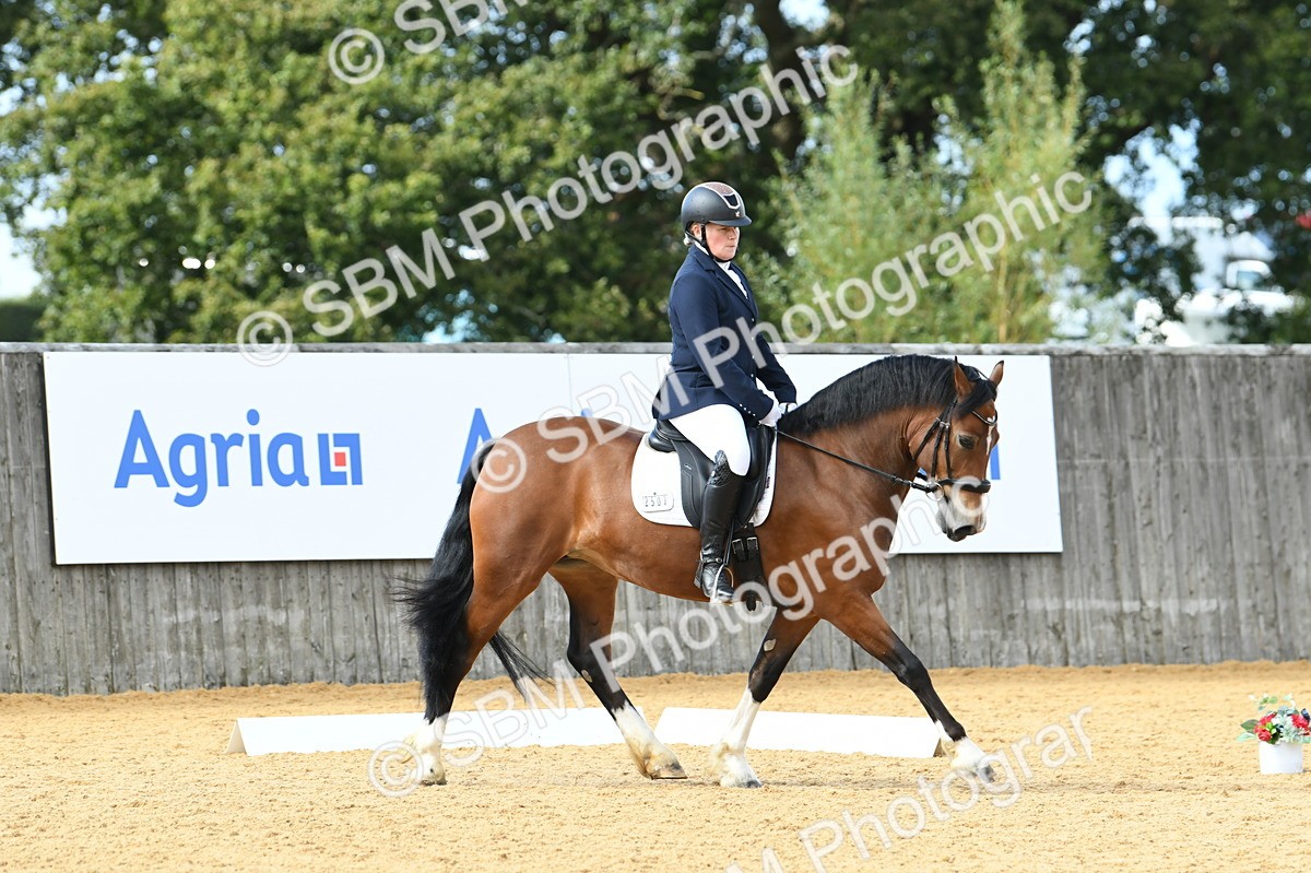 SBM_07429 - D15 Small Tour Championship Novice 24