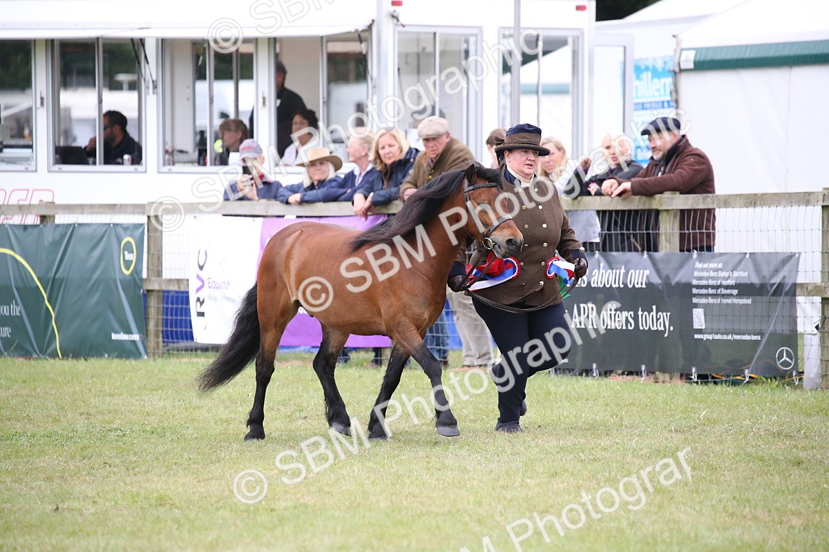 SBM_09740 - Ch 50 - Price Family Supreme In Hand