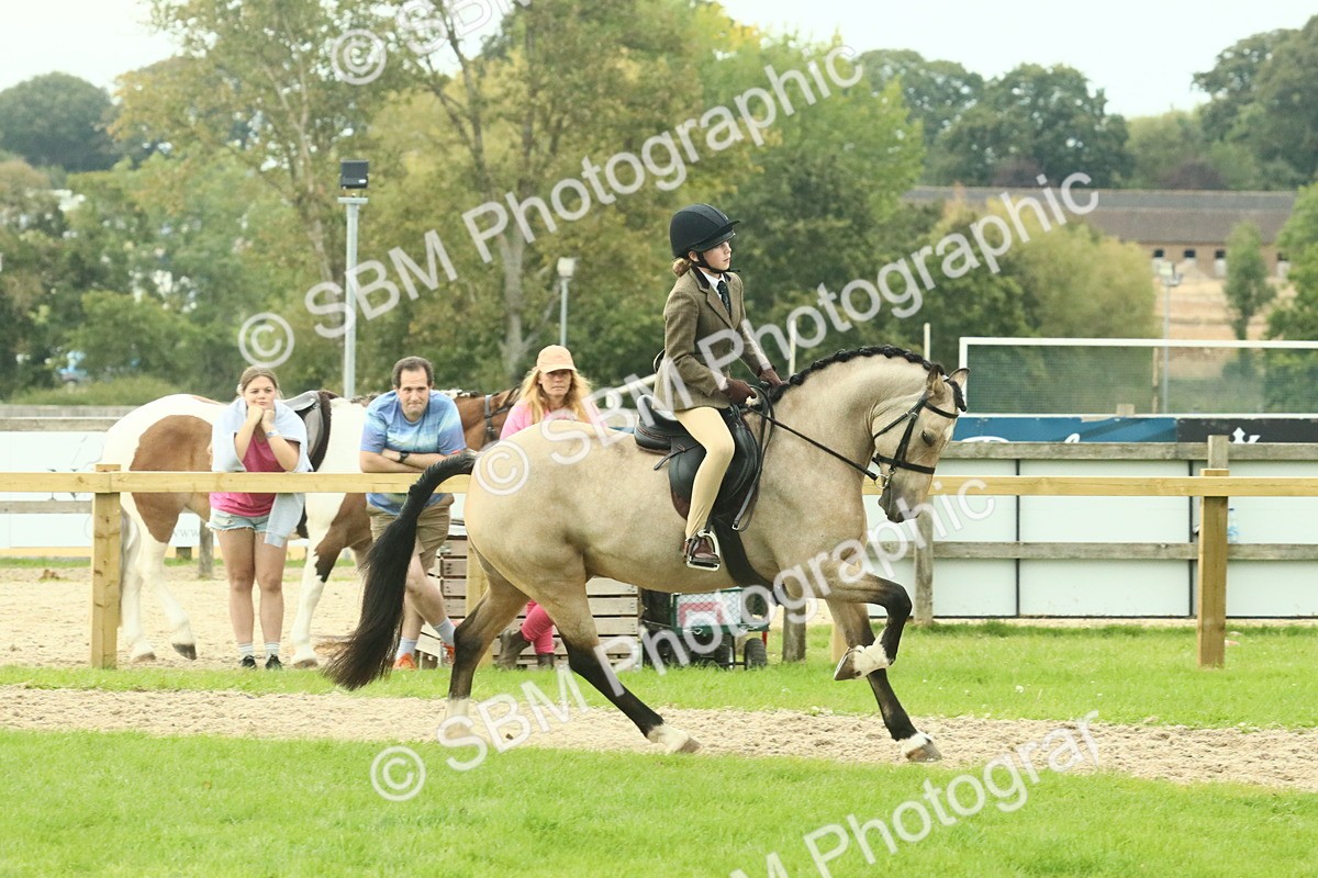 SBM_74016 - S 61 - Show Pony & Show Hunter Pony Ridden