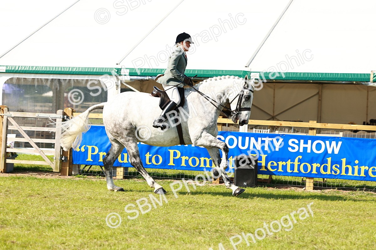 SBM_11956 - Class 66-69 - RIHS Ridden Hunters Inc Small Hunter