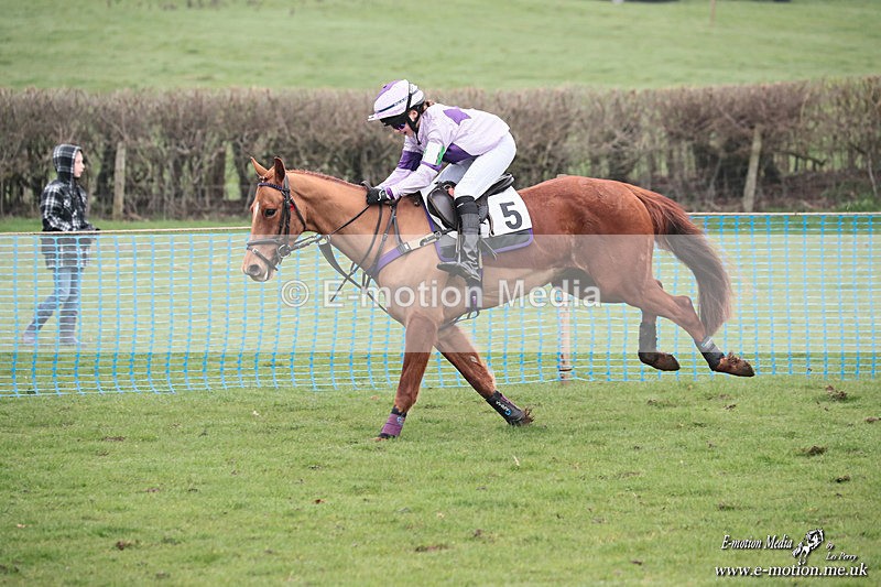 PR PtP 080326 460 - Guilsborough Pony Races 08/03/26