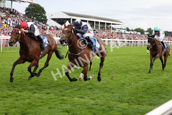yr19082021r6-17 - Race 6 4.45pm British EBF & Sir Henry Cecil Galtres Stakes