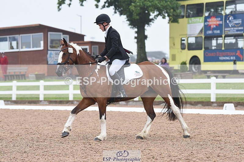 230708A-144106-03114 - Novice 24