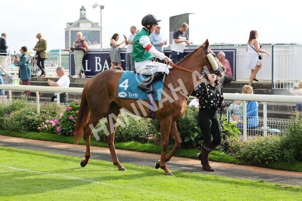 yr04092022r6-5 - Race 6 4.40pm Hanson Springs Stakes