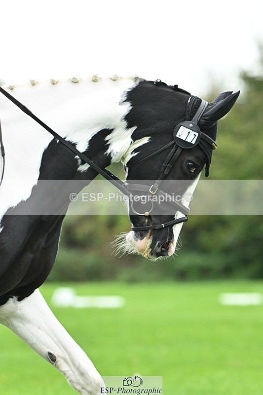 241024-113800-02433 - 317-Maddy.Greenaway-SPECIAL.VAN.DE.SMEDENPOORT