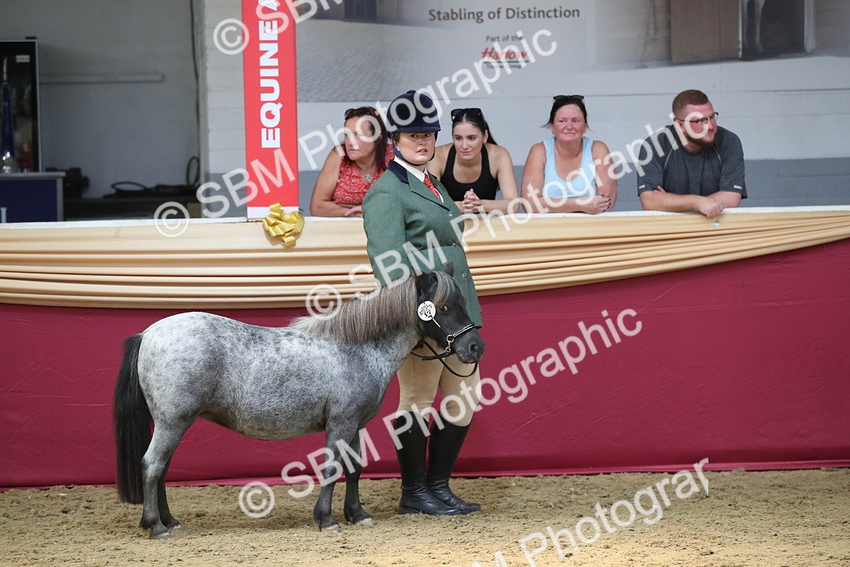 SBM_06224 - Class 9R Regional- IH Pre Vet