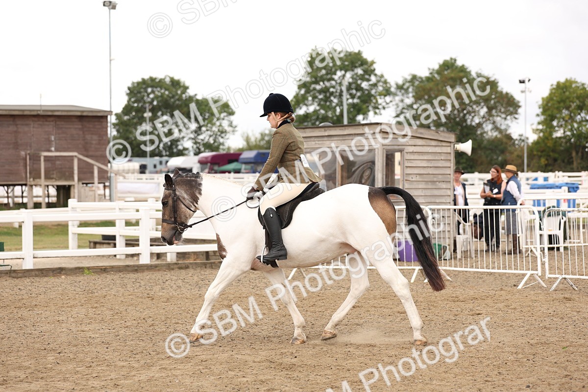 SBM_02883 - Class 53 - Ridden Competition Horse/Pony