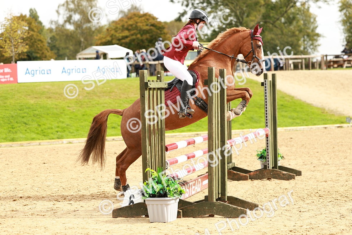 SBM_38449 - Supreme Championship 80cm 85cm