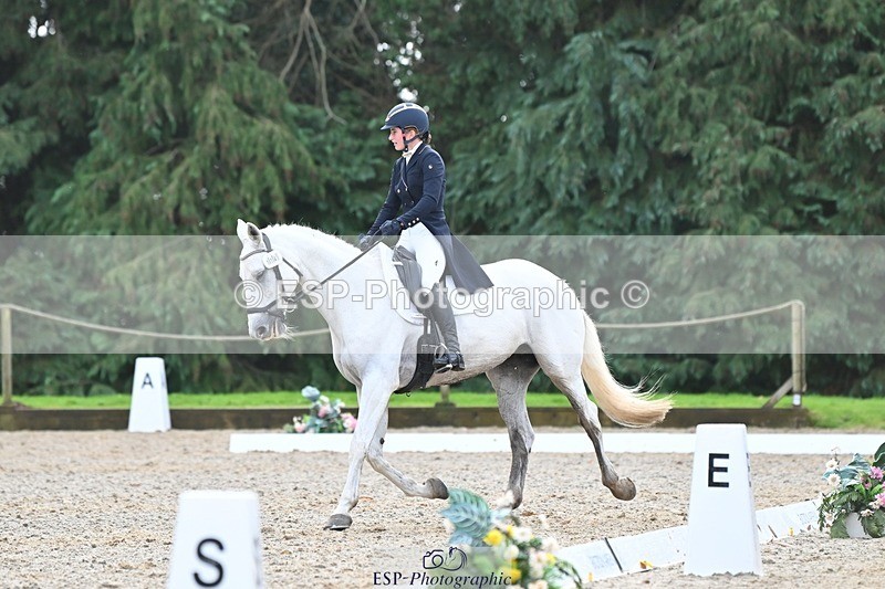 231019-123108-03118 - 114-LATINA'S.TWINKELING-Pippa.Haslam-DR