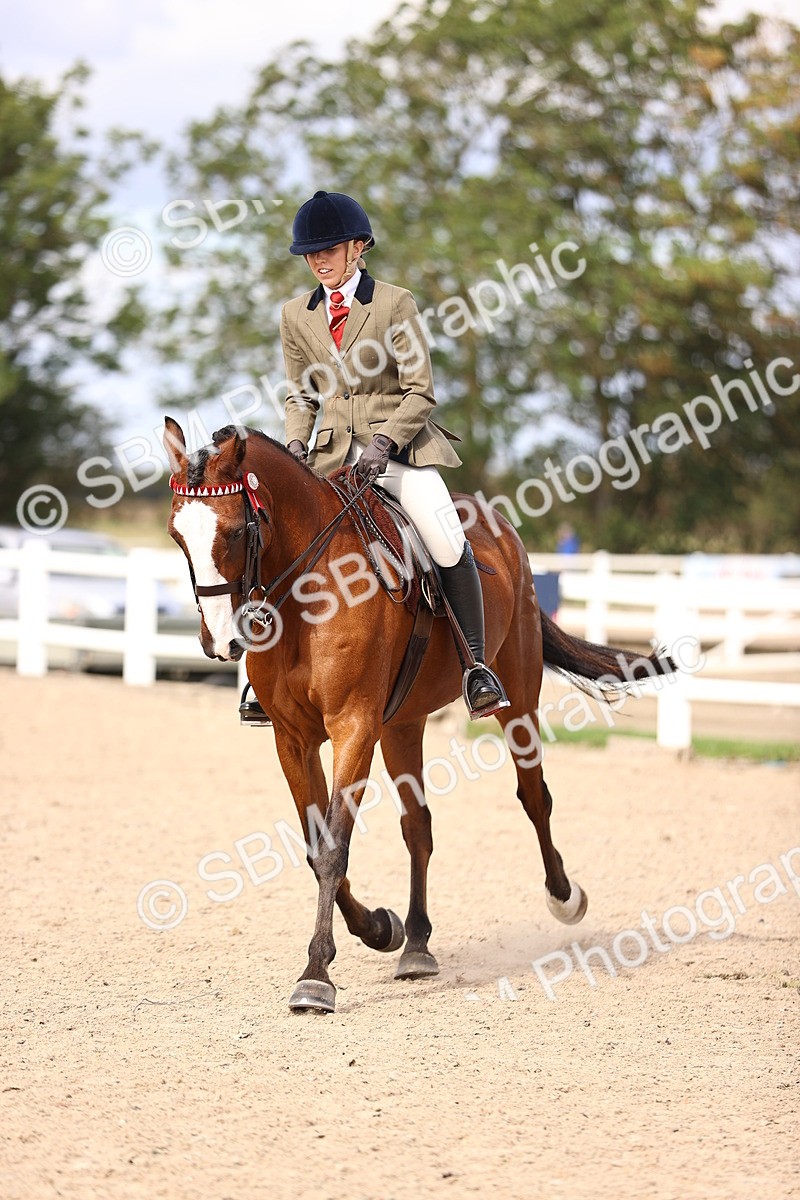 SBM_12935 - Class 410 - Grassroots Ridden - Horse