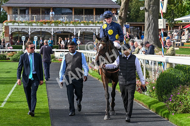 060926-Race 6-Power Fizz-8882 - Race 6 4.25pm Eboracum Security Handicap