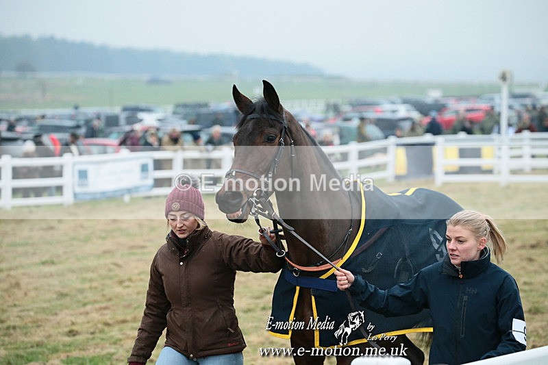 PtP 261123 31 - Hursley Hambledon Point-to-Point Larkhill 26 Nov 2023