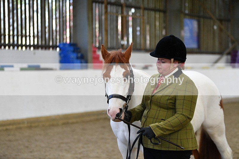 WJ5_4042 - Class 2 Best Condition In hand