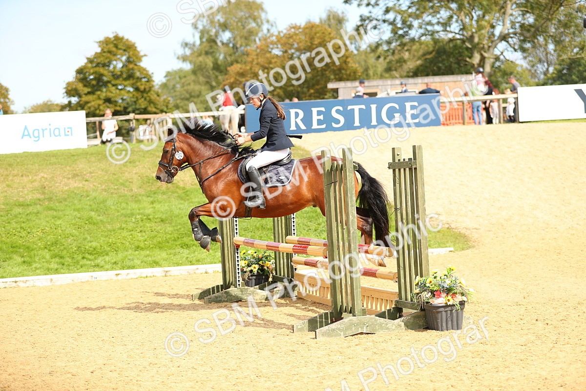 SBM_66181 - J17 - Junior Pony 80cm Championship