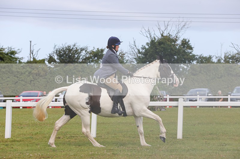 1X9A3074 - Class 26: Ridden Plaited Coloured Pony