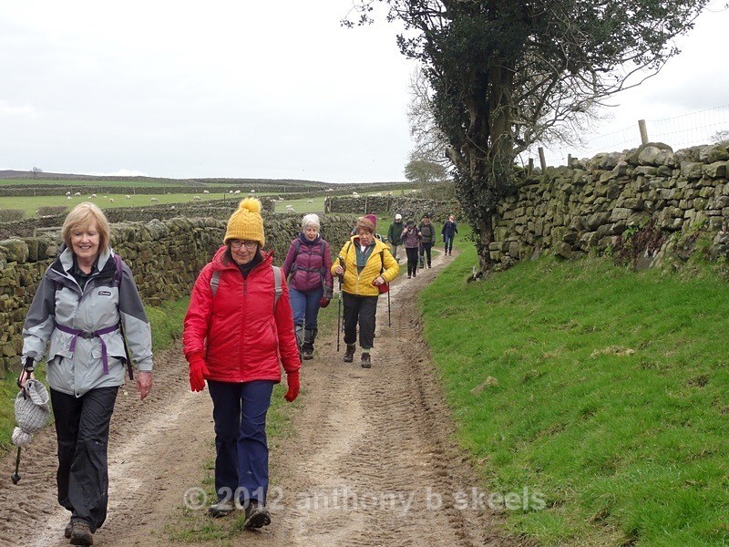 029 Heading for Carlesmoor - York Minster Walkers Collection 2024
