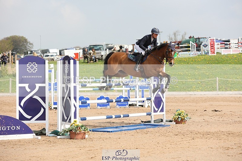 250424-105457-03300 - Cls 33 Young Horse 7yr old