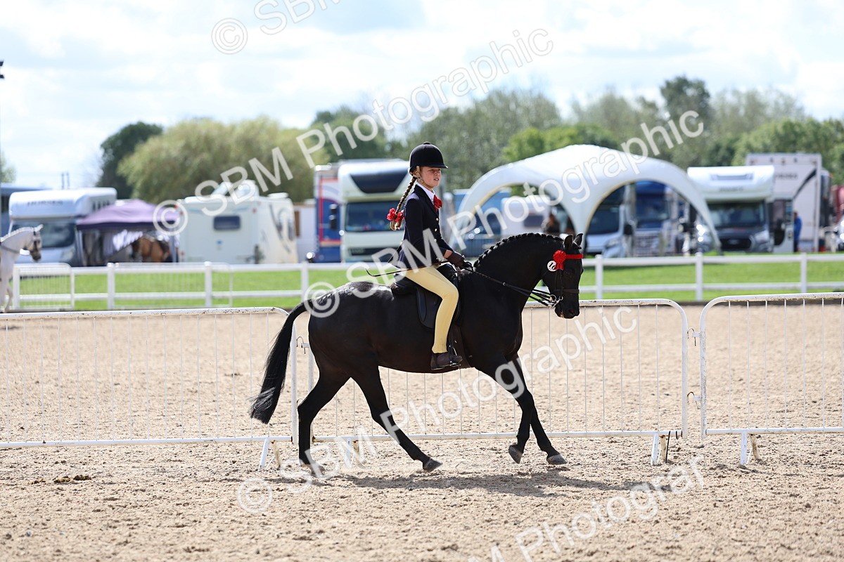 SBM_13273 - Class 311 - Ridden Show Pony Show Hunter Pony