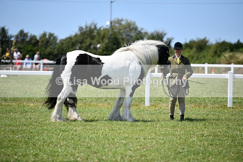 DSC_7630 - Class 64: Coloured Pony 4yrs & over