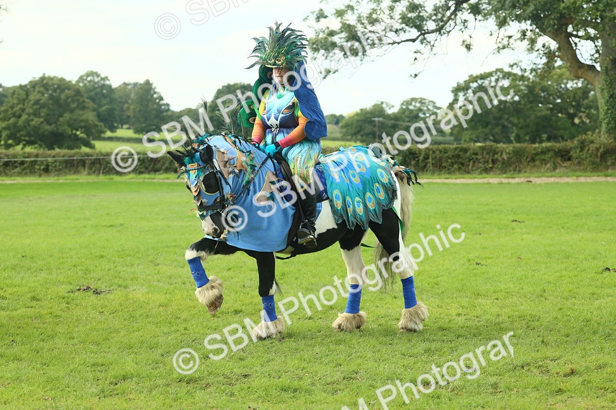 SBM_63593 - S35 - Fancy Dress Showing