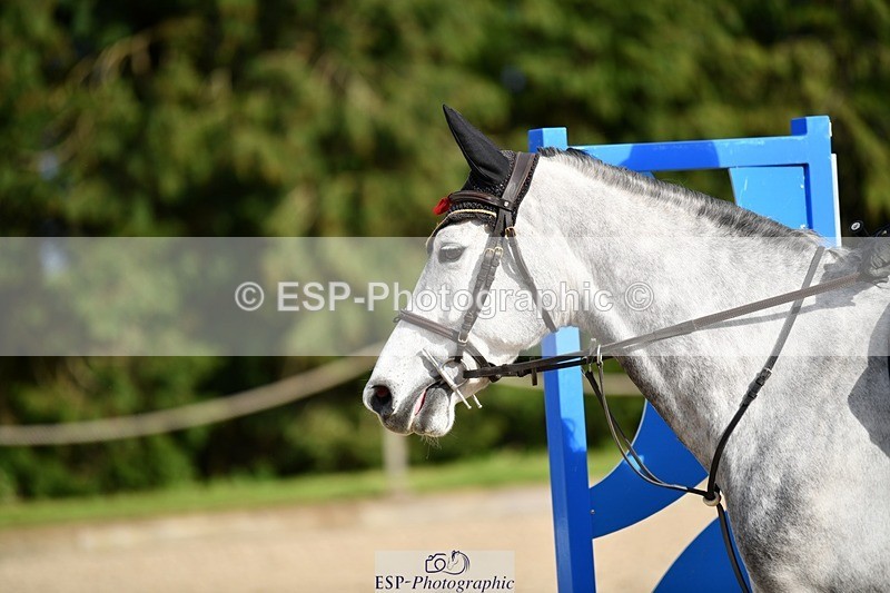 240324-153720-03343 - Cls 11 Foxhunter & 1.20m Open