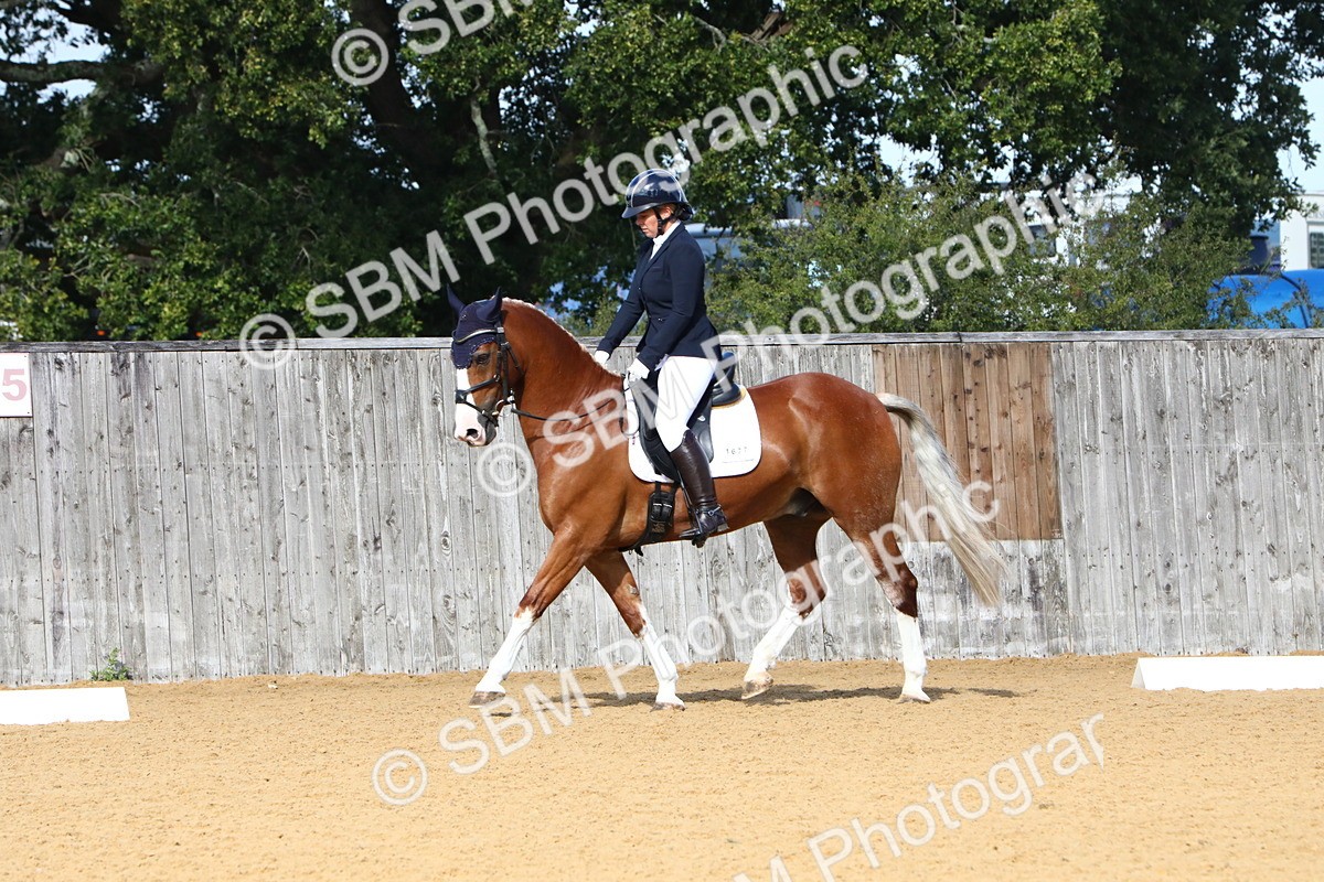 SBM_18286 - D31 - Grand Tour PYO Open .