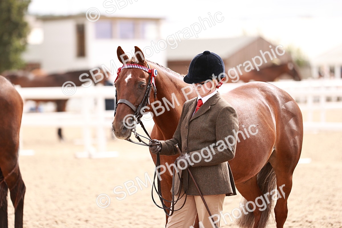 SBM_16325 - Class 413 - Best Condition - Adult