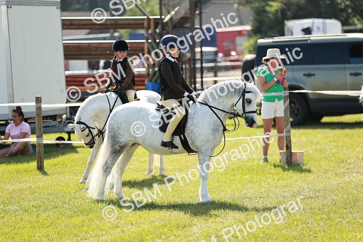 SBM_12672 - Class 106-107 - BSPS LIHS Working Sports Pony