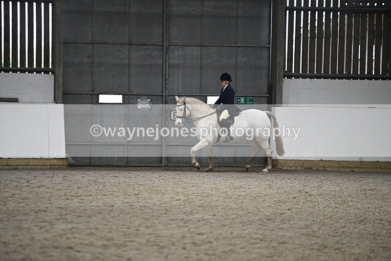 WJ7_3615 - Class 16 Ridden Coloured/ Odd Coloured