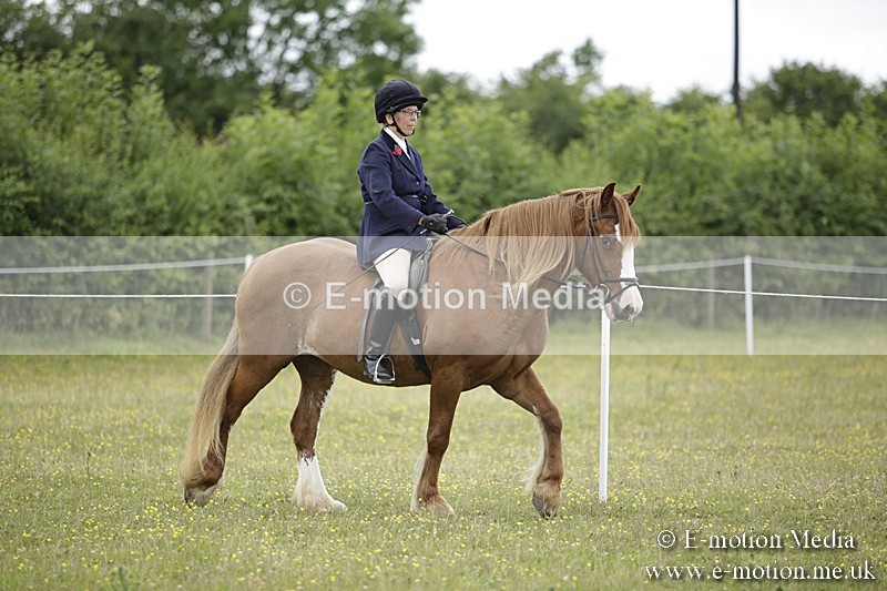 BVR160717-1504 - Ring 1 BVRC Show 16/07/17