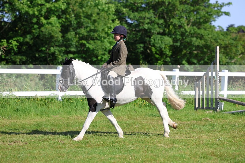 3E7A5994 - Class 27: Novice Working Hunter Pony