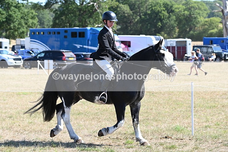 WJ6_8211 - Class 37a Best Loan Pony Ridden