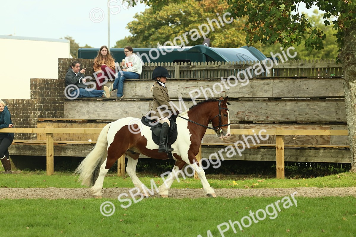 SBM_68186 - S58 - Mini Show Cob Ridden