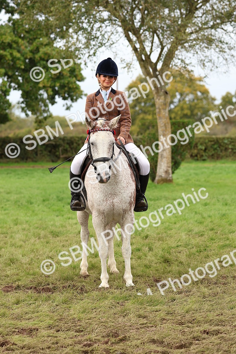 SBM_64459 - S58 - Coloured Pony Ridden