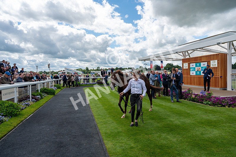 120626-Race 2-Everatease-0917 - Race 2 14.25pm Constant Security Keeping York Racegoers Safe Rous Selling Stakes