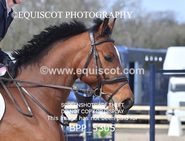 BPP_5305 - CLASS 4  British Novice/ 90cm Open