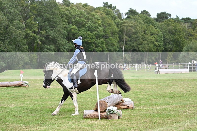 WJ7_8985 - 60cm Time 12:31 to 12:50