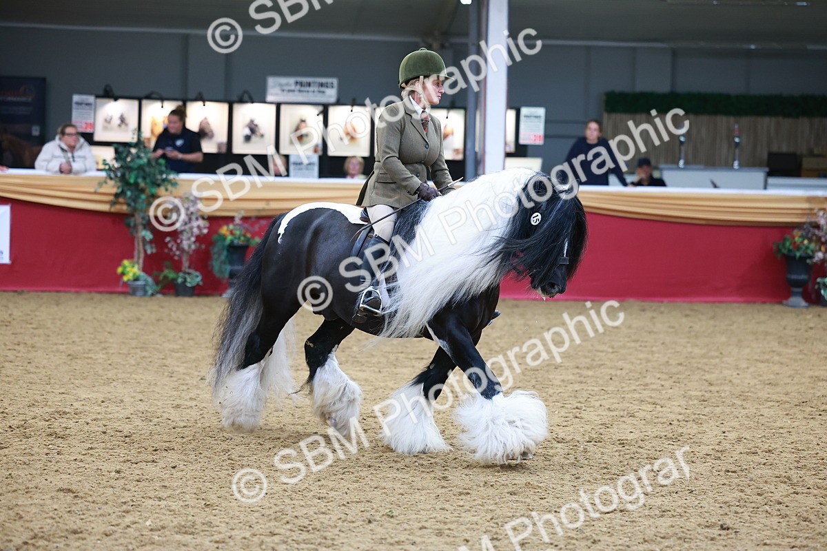 SBM_06264 - Class 12R - Ridden Pre-Vet