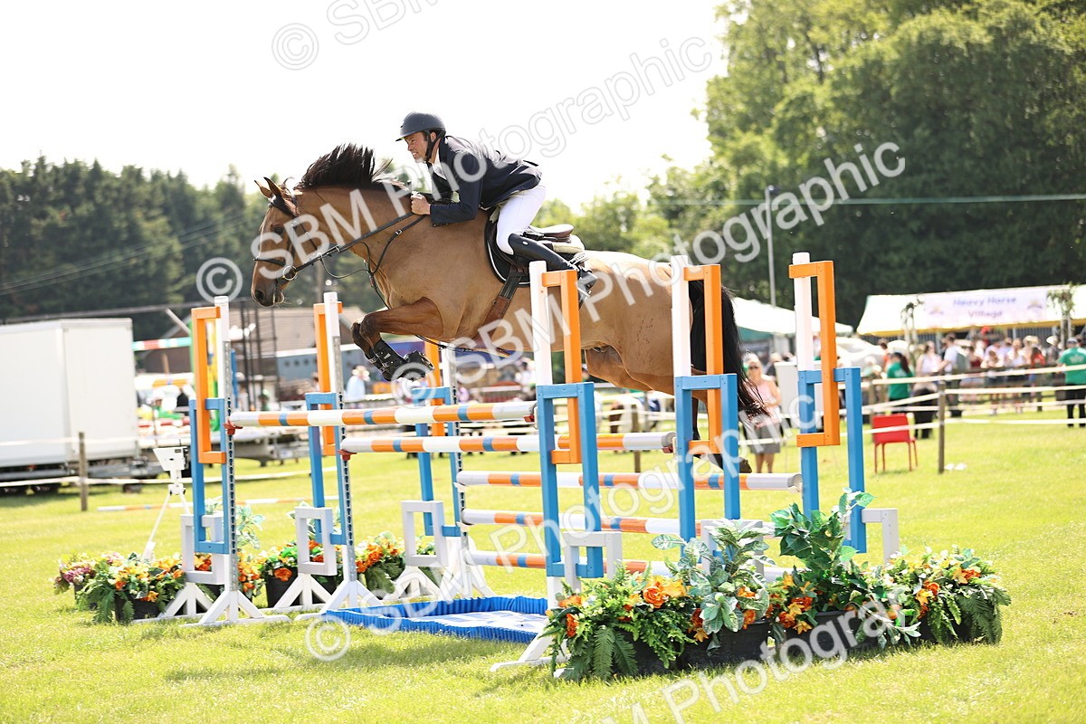 SBM_03204 - Class 201 - British Horse Feedds Speedi Beet HOYS Grade C