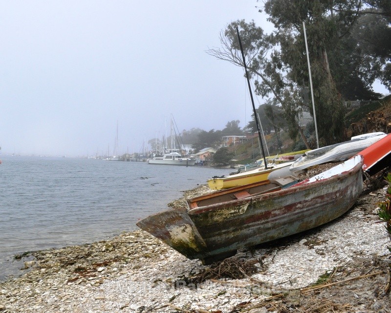 Misty Harbor - Great Places