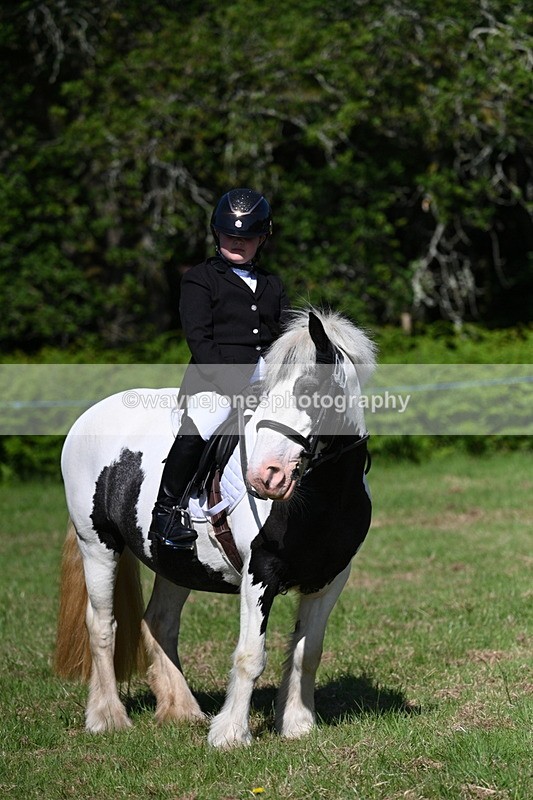 WJ7_0433 - Class 8 First Rally Pony