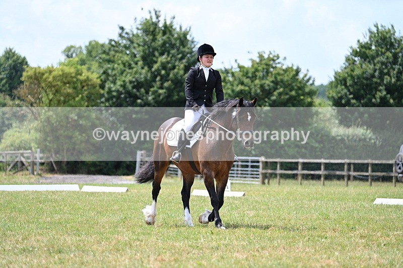 WJ7_5566 - Time 11:52 to 12:10