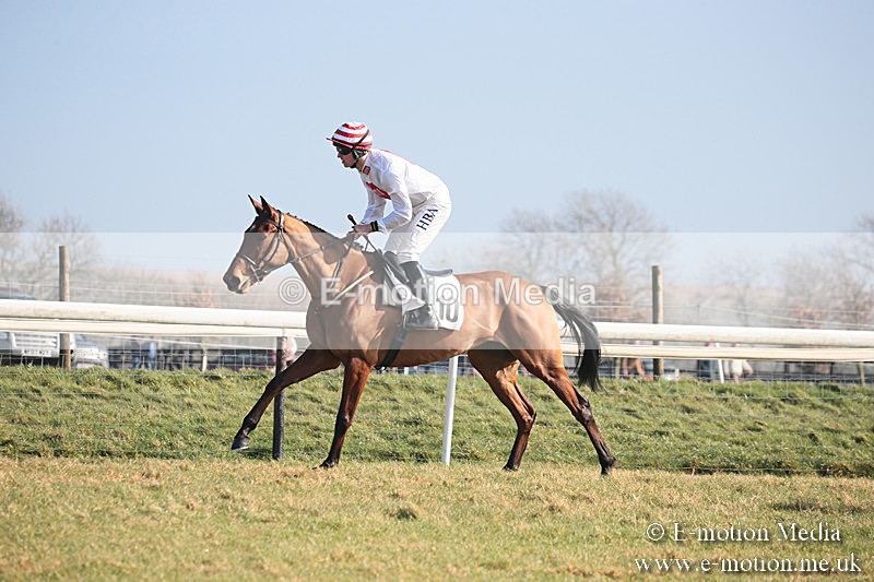 PtP 230219 18 - Vine & Craven Point-To-Point - Barbury 23/02/19