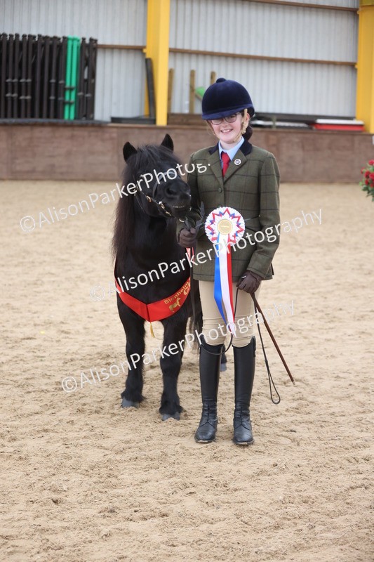 20251109-1201 - Young Handler Championship