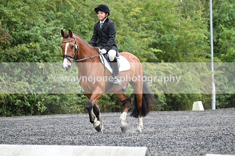 WJ7_6082 - Time 11:38 to 12:03